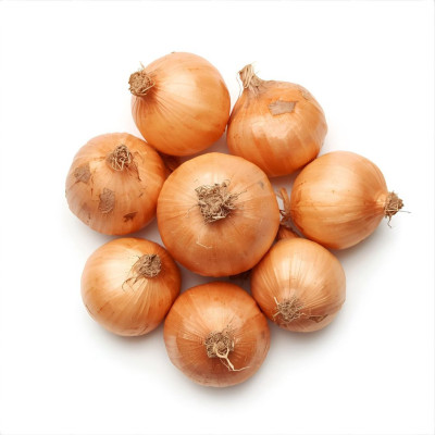 CEBONAV-cebolla-bio-navecovida.jpg