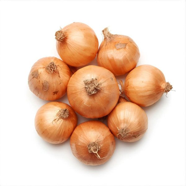 Cebolla Blanca Bio