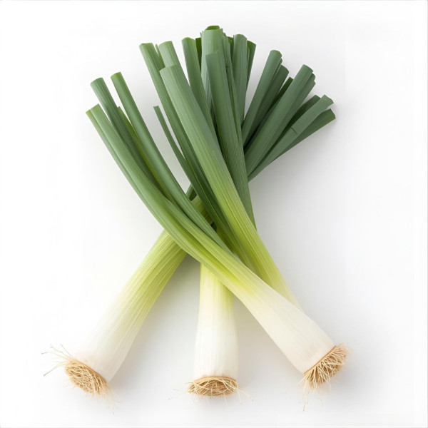 Puerro Bio
