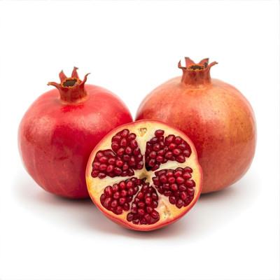 GRANANAV-granada-bio-navecovida