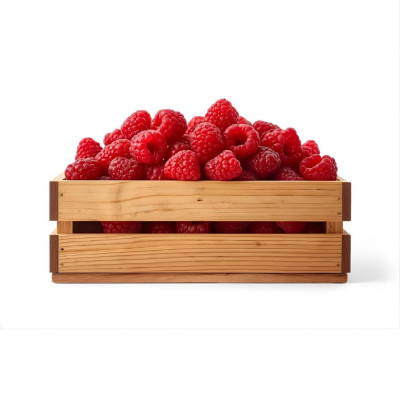 FRAMBNAV-frambuesas-bio-navecovida