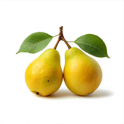 MEMBRINAV-membrillo-bio-navecovida