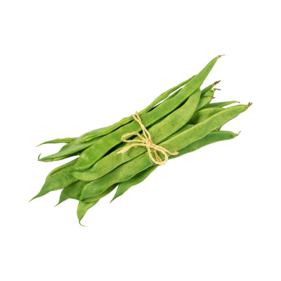 JUDINAN-judia-verde-bio-navecovida