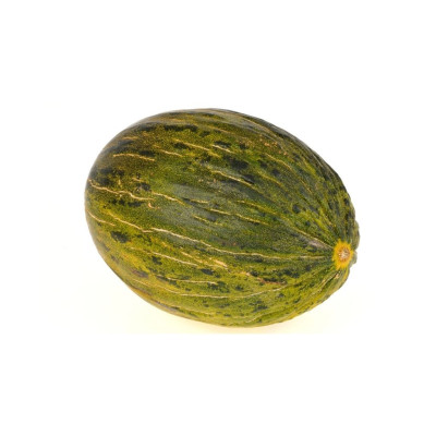 MELONAV-melon-piel-sapo-bio-navecovida MELONAV-melon-piel-sapo-bio-navecovida