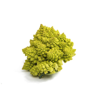 ROMANAV-romanescu-bio-navecovida