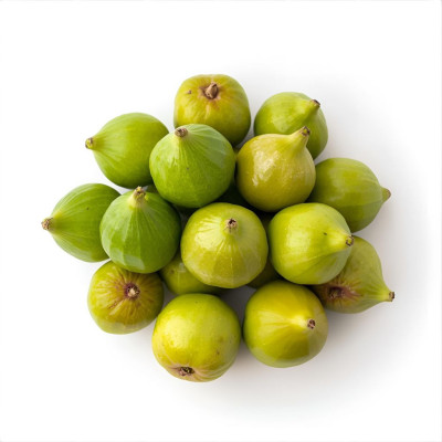 HIGONAV-higo-bio-navecovida