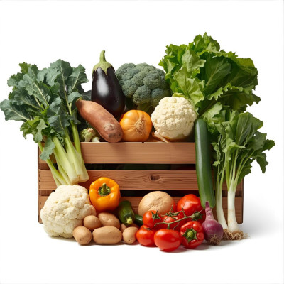 SURVERNAV-surtido-verdura-bio-navecovida