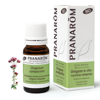 PRA7441-aceite-esencial-oregano-inflorescencias-10ml-bio-pranarom-navecovida PRA7441-aceite-esencial-oregano-inflorescencias-10ml-bio-pranarom-navecovida