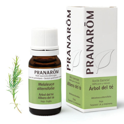 PRA391-aceite-esencial-arbol-te-10ml-pranarom-navecovida PRA391-aceite-esencial-arbol-te-10ml-pranarom-navecovida