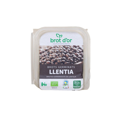 BROTLENTE-brotes-germinados-lenteja-bio-brot-dor-navecovida