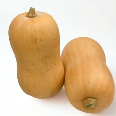 CALABAZNAV-calabaza-bio-navecovida.jpg