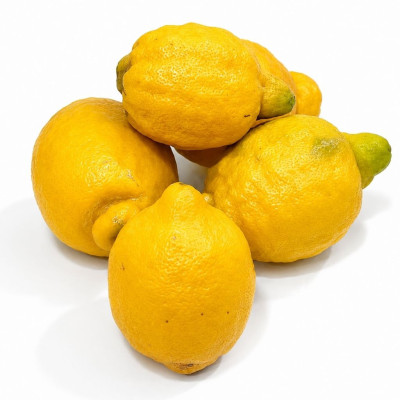 LIMONAV-limon-bio-navecovida