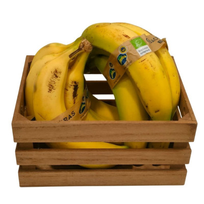 PLATANAV-platano-canarias-bio-navecovida