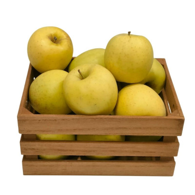 MANZGOlNAV-manzana-golden-bio-navecovida