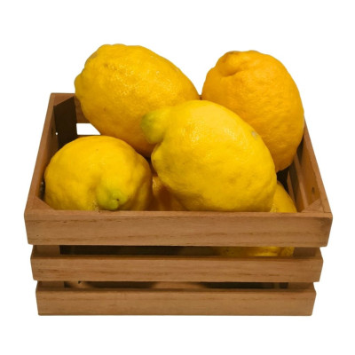 LIMONAV-limon-bio-navecovida