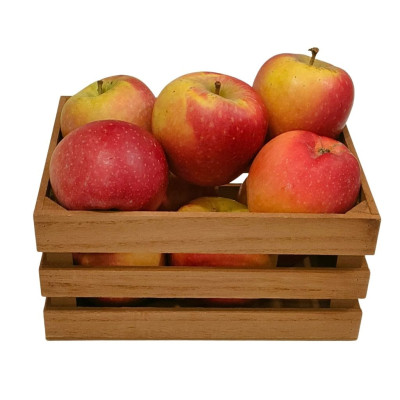 MANFUJINAV-manzana-fuji-bio-navecovida