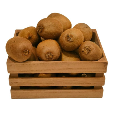 KIWINAV-kiwi-bio-navecovida.jpg