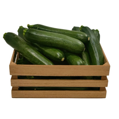 CALABNAV-calabacin-bio-navecovida.jpg