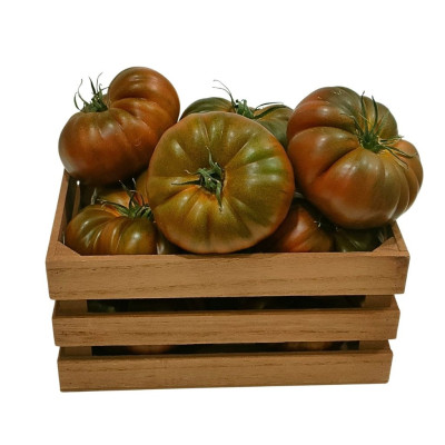 TOMASURC-tomate-asurcado-bio-navecovida