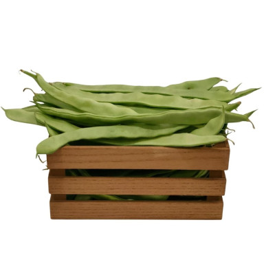 JUDINAN-judia-verde-bio-navecovida