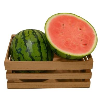 SANRANAV-sandia-rayada-bio-navecovida.jpg