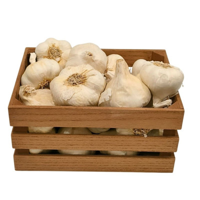 AJOBLAN-ajo-blanco-bio-navecovida.jpg
