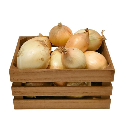 CEBONAV-cebolla-bio-navecovida.jpg