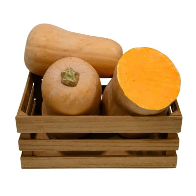 CALABAZNAV-calabaza-bio-navecovida.jpg
