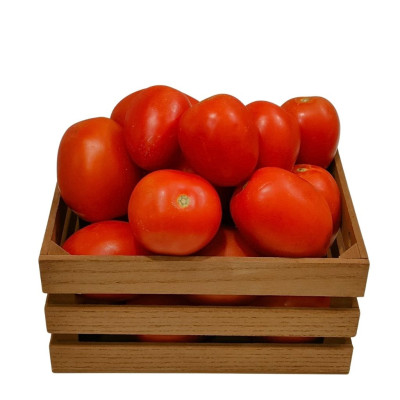TOMAPERANAV-tomate-pera-bio-navecovida