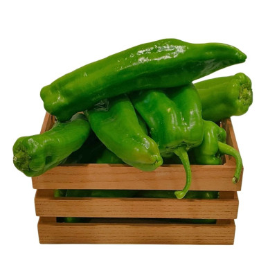 PIMVERITANAV-pimiento-verde-italiano-bio-navecovida