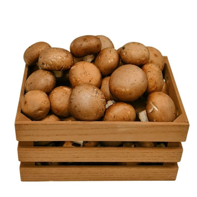 CHAMPNAV-champinones-bio-navecovida.jpg