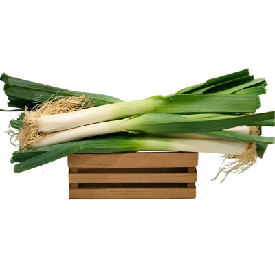 Puerro Bio