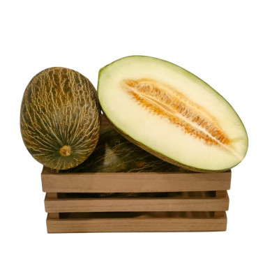 MELONAV-melon-piel-sapo-bio-navecovida