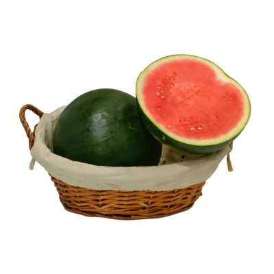 SANDINAV-sandia-negra-bio-navecovida