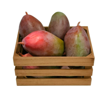 MANGONAV-mango-bio-navecovida