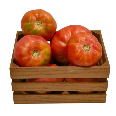 TOMROSANAV-tomate-rosa-bio-navecovida