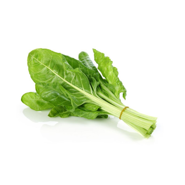Acelga Verde Bio