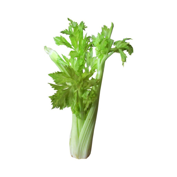 Apio Bio 250g