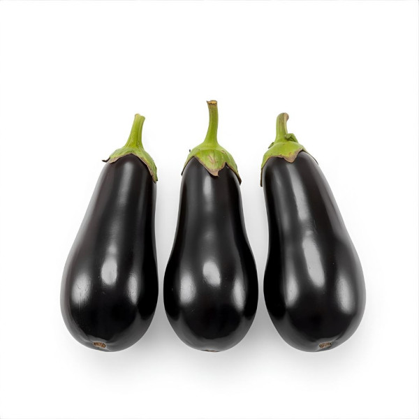 Berenjena Negra Bio